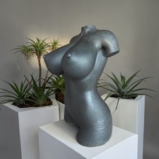 Curvy goddess torso - curvy,