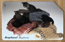 SCHEDA TELEFONICA USATA OMAGGIO RAPHAEL MAGLIERIA GOLDEN OP 132 C&C 3223 - RARA