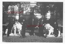 Castello tedesco di ghiaccio