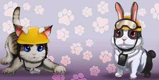 Rescue Cat and Rescue Rabbit