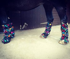 Set di 4 avvolgimenti gambe in