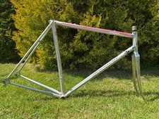 Scaffale arabesco Colnago