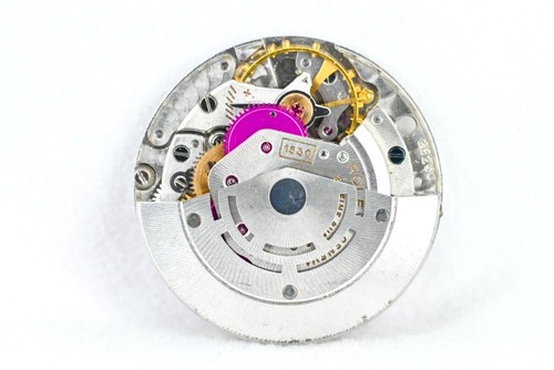 Rolex orologio polso - rolex,