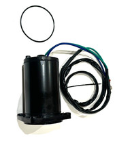 Motore Evinrude Johnson Power