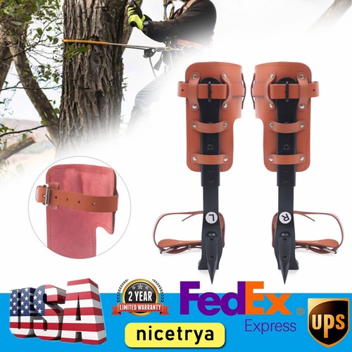 Set punte arrampicata albero - punte,