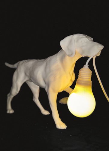 Bracco dog lamp usb night - bracco,