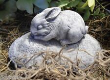 Stampo coniglietto lattice