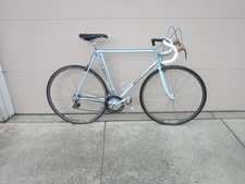 58cm Masi