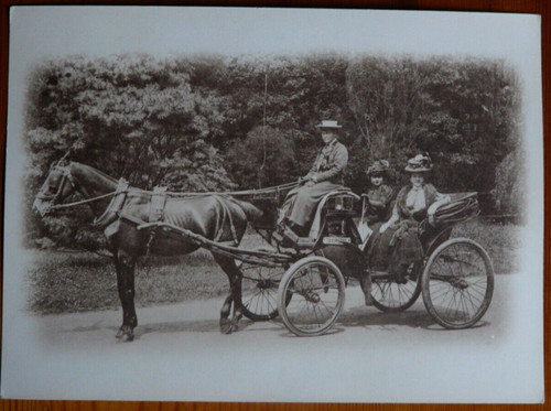 Foto epoca nobildonne - ,