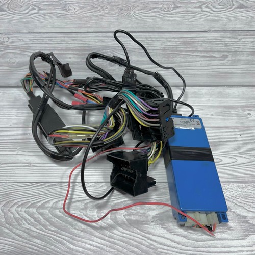 Parrot ck3100n scatola blu con - ck3100n,