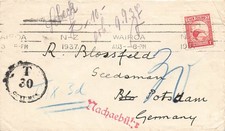 100132) Marca kiwi Nuova