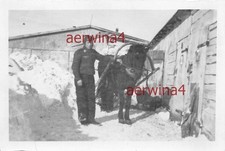 cavallo pilota tedesco Borisov