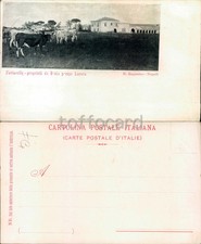 *OFFERTE POSTA 1*-FOGGIA