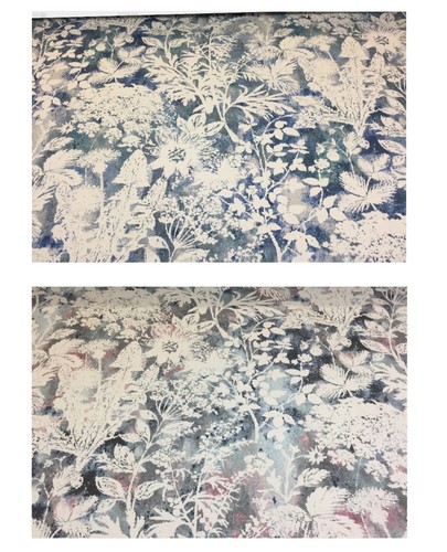 Tessuto cotone floreale