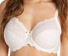 CHANTELLE RIVE GAUCHE 3 PARTI