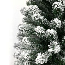 Albero di natale innevato pino