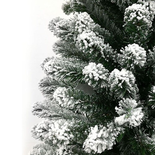 Albero natale innevato pino - albero,