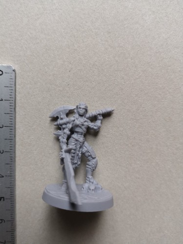Female barbarian warrior - female,