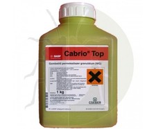 Cabrio top 1 - cabrio,