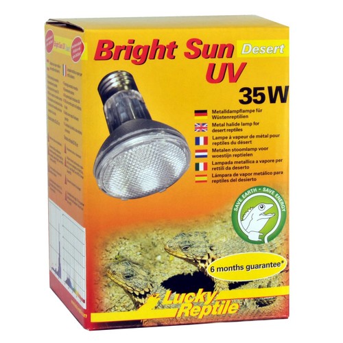 Lucky reptile bright sun - reptile-bright,