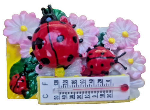 Souvenir magnete frigo - frigo,
