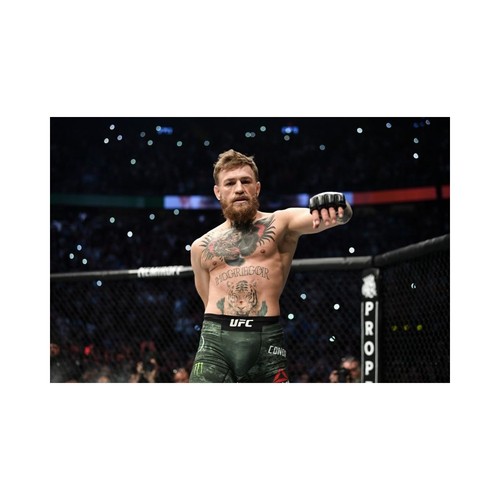 Cialda ostia conor mcgregor - cialda,