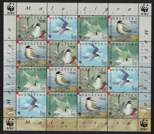 Croazia uccellini wwf - uccellini,