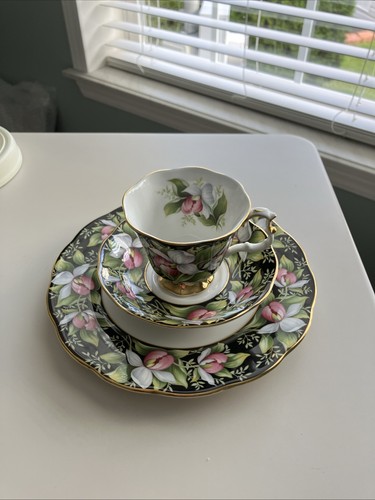 Royal albert provincial - albert,
