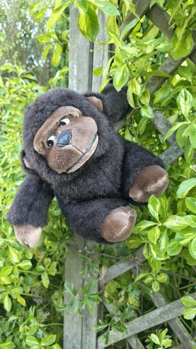 Gorilla riller occhi - riller, laterali