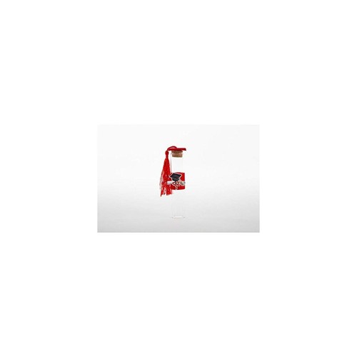 Provette portaconfetti in - 12,