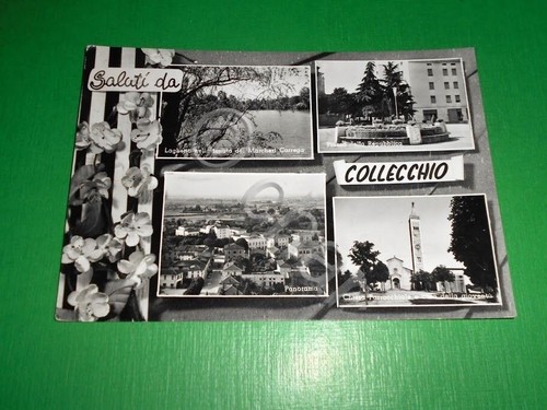 Cartolina saluti collecchio - cartolina,