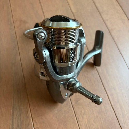 Eging punta corsa - daiwa, calda