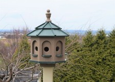 PICCOLO Gazebo Poly Birdhouse