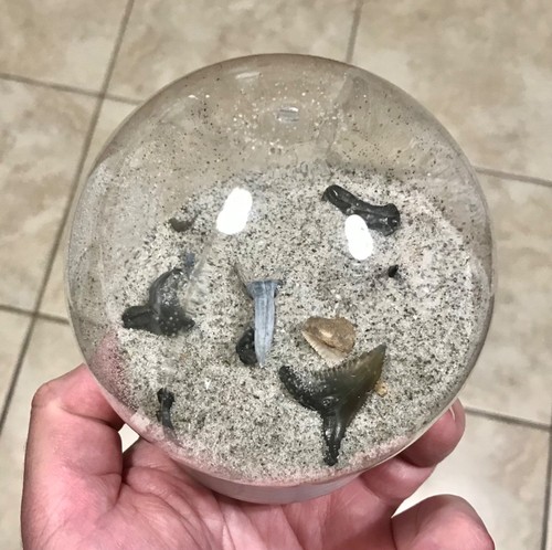 Florida snow globe - snow, globe-4