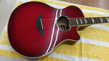 Chitarra elettrica acustica