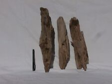 legni di mare dilavati bucci interessante (1932) fai da te diy shabby deco arte