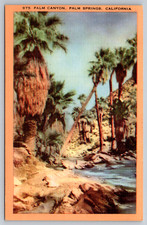 c1940s Palm Canyon Palm