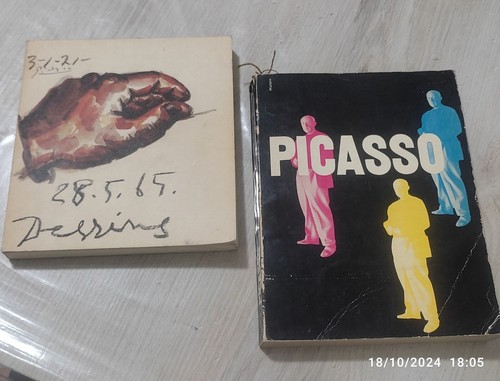 Libri arte picasso - libri,