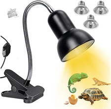 Reptile Earth Turtle Lamp