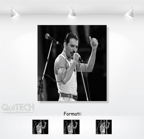 Freddie mercury quadro - -,