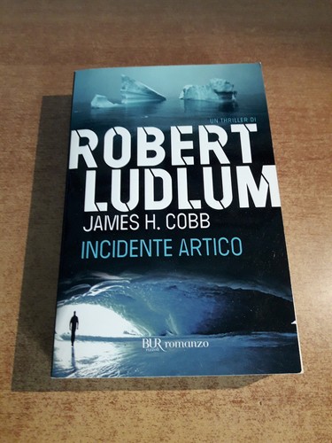 Incidente artico robert - artico,