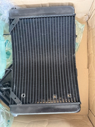 Radiatore agusta rivale 800 - mv,