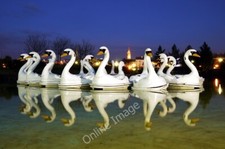 Photo 6x4 The 'Pickie Swans'