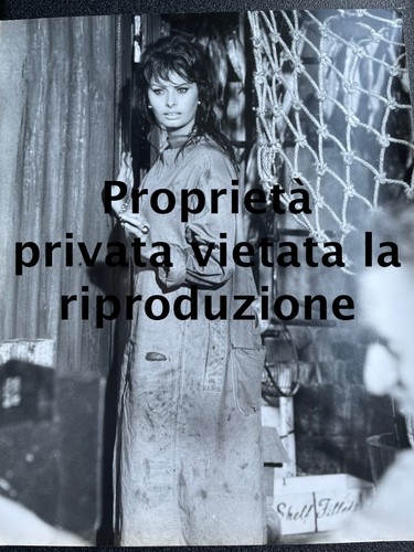 Sophia loren foto autore - foto,