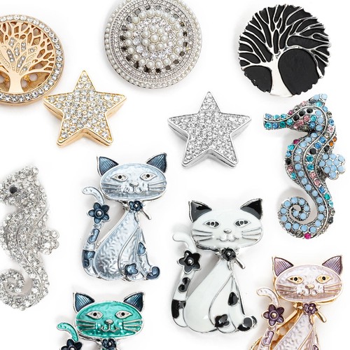 Spilla magnetica spilla strass