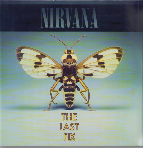Nirvana the last fix lp - nirvana,