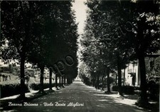 Cartolina di Besana in