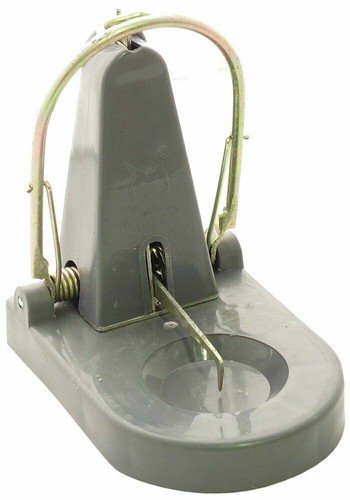 Trappola per topi - , neri