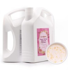 6LBS Gel di Silice Fiori Essiccazione Cristalli Colore Arancione a Verde Indica Silice