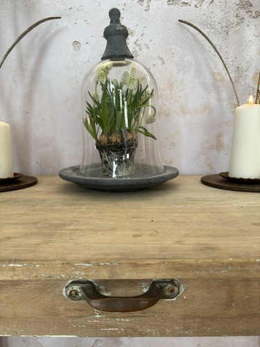 Cloche rustico vetro base - rustico,